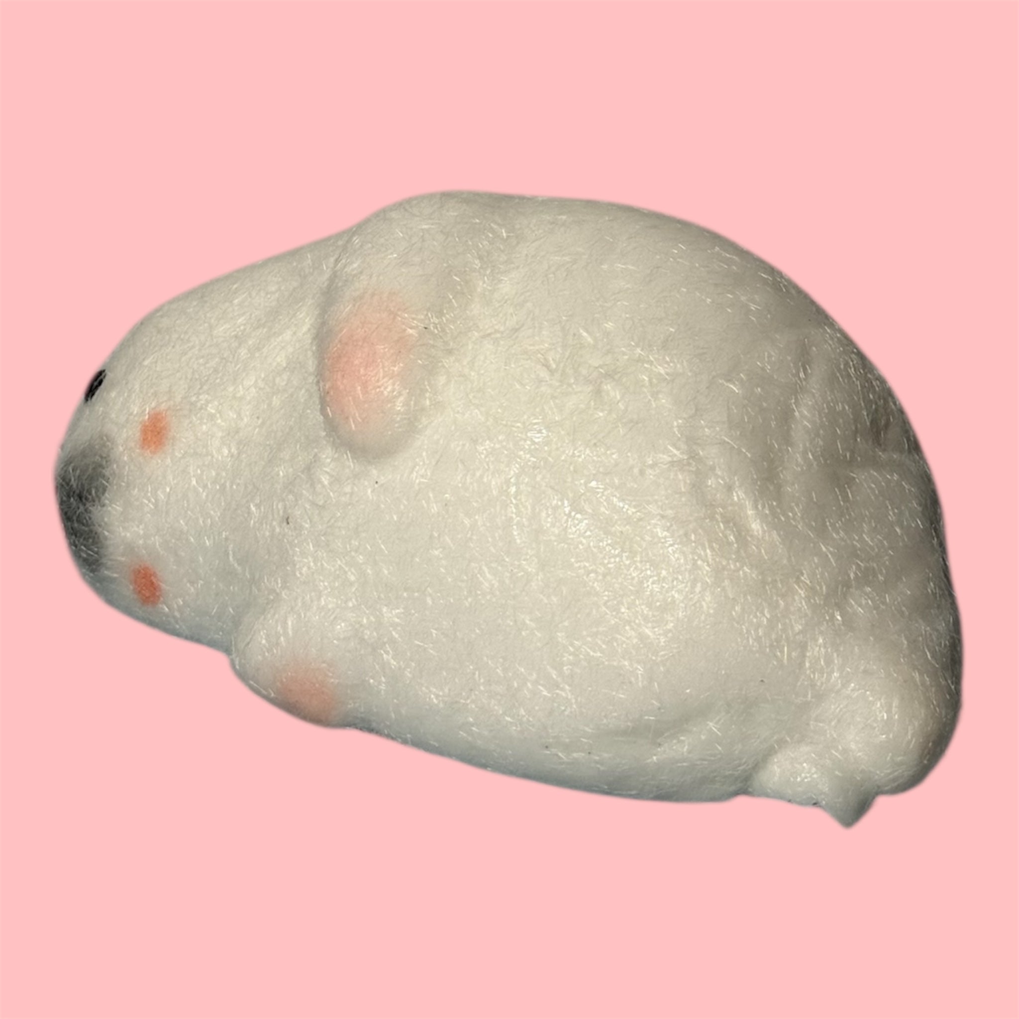 🦭 Cute Seal Squishy ✨