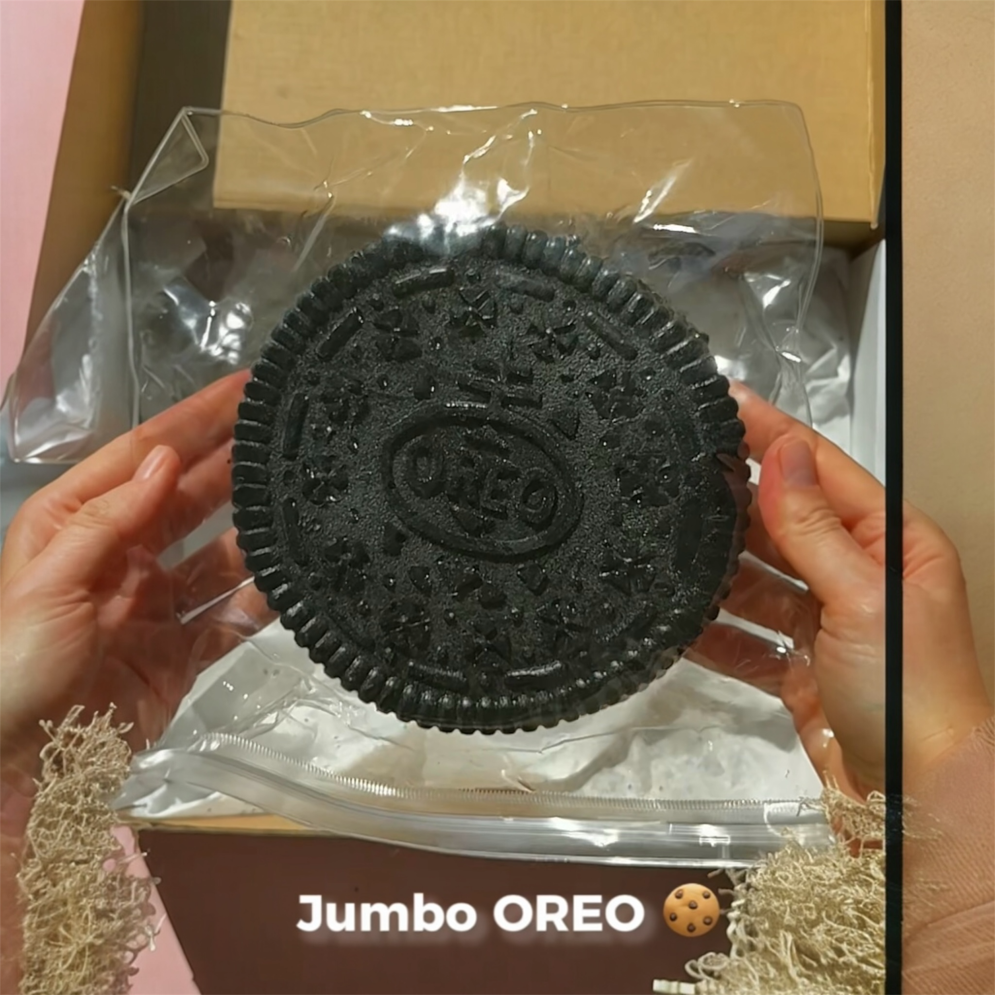 🍪 Jumbo Oreo Cookie Squishy ✨
