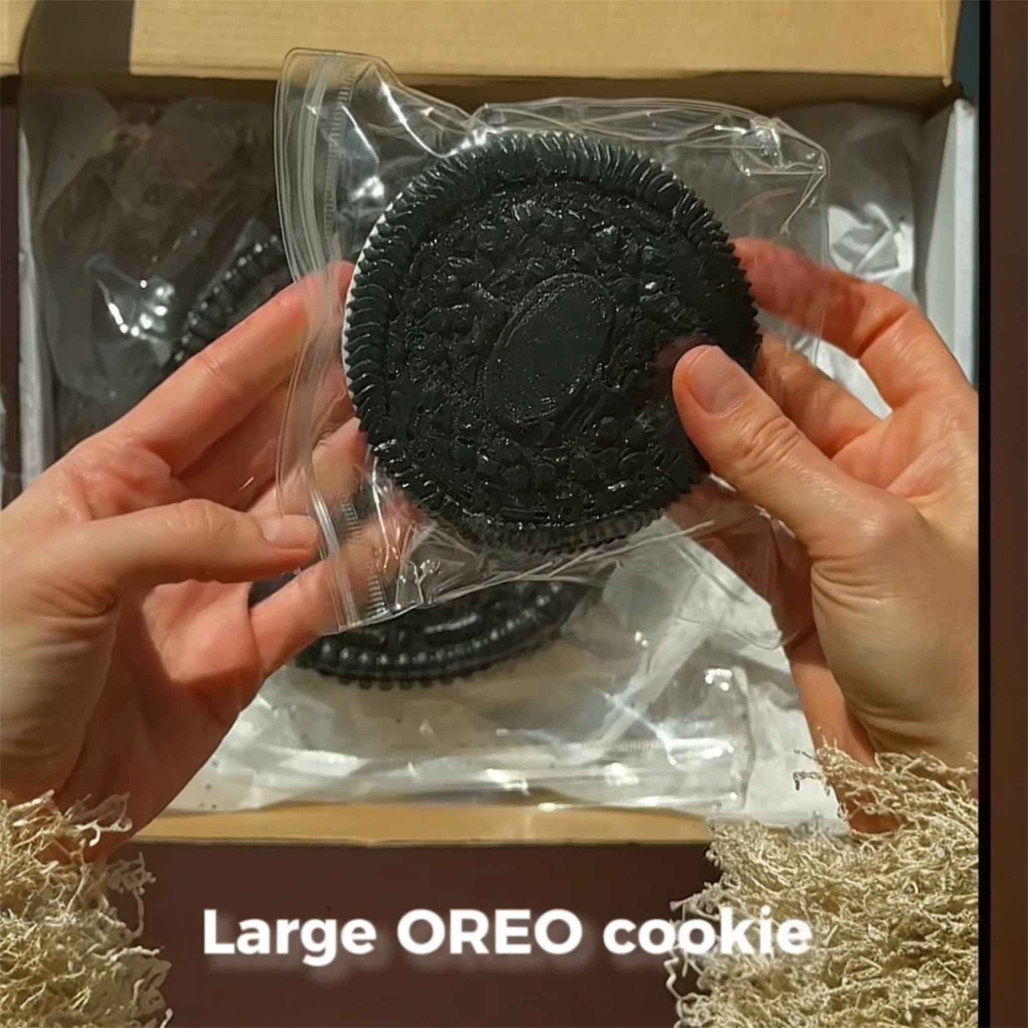 🍪 Taba Oreo Cookie Squishy ✨